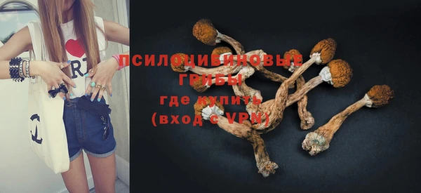 шишки Алзамай