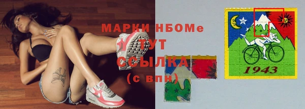 шишки Алзамай