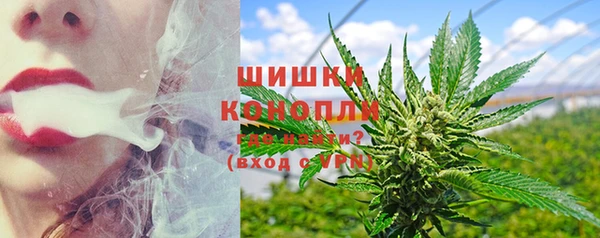 шишки Алзамай