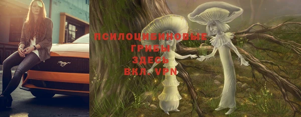 шишки Алзамай