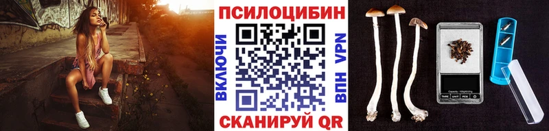 магазин продажи   Шелехов  Галлюциногенные грибы MAGIC MUSHROOMS 